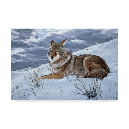 Ron Parker 'Darkening Sky Coyote' Canvas Art,16x24